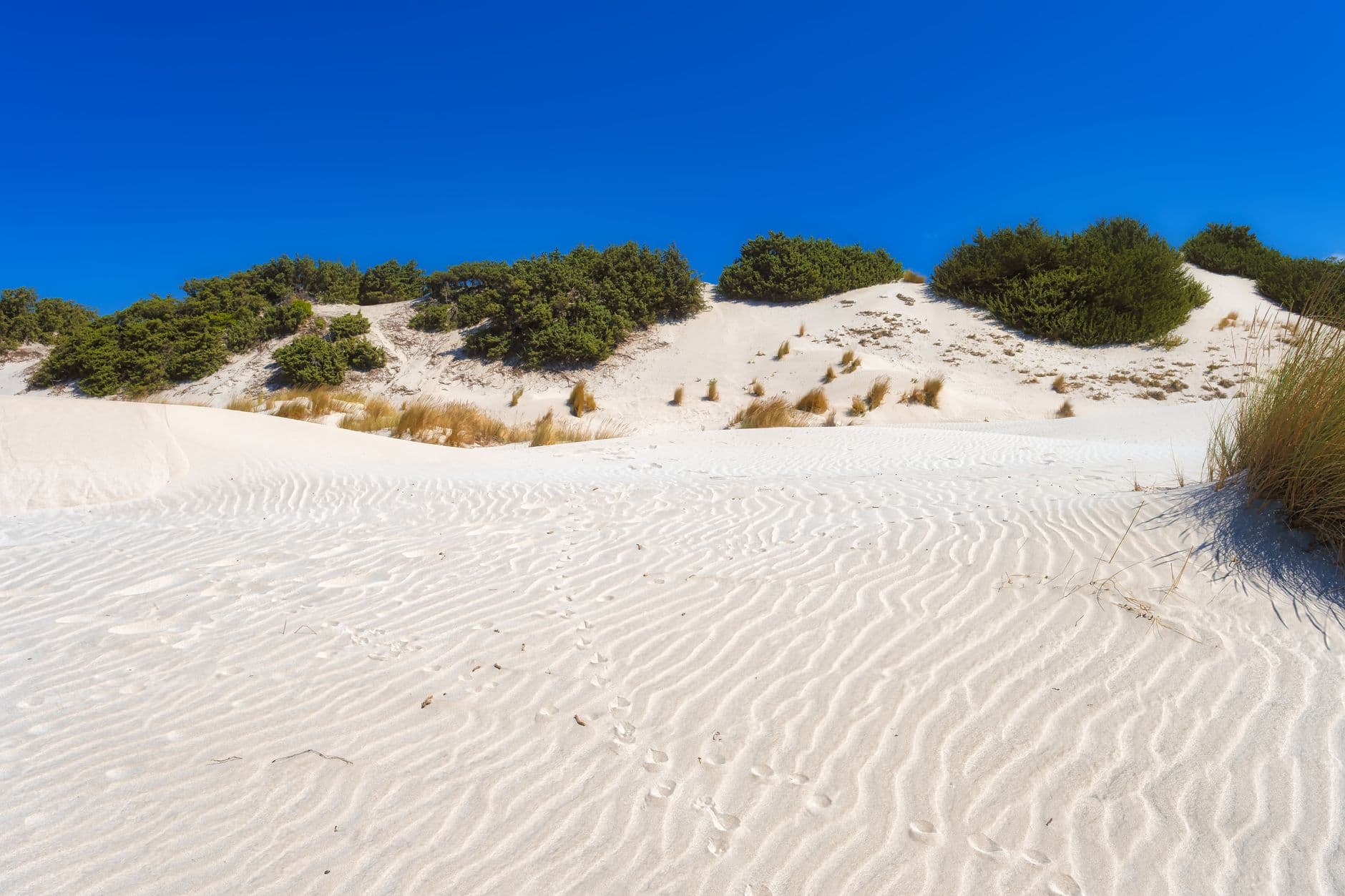 La plage de Su Giudeu à Chia, ses dunes et sa tour espagnole sous la lumière du sud sarde