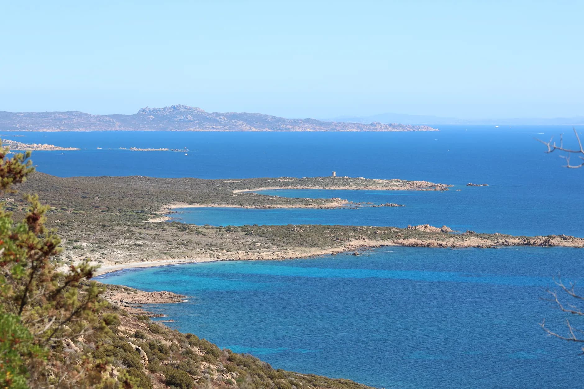 Asinara en une journée : choisir le port et le transport